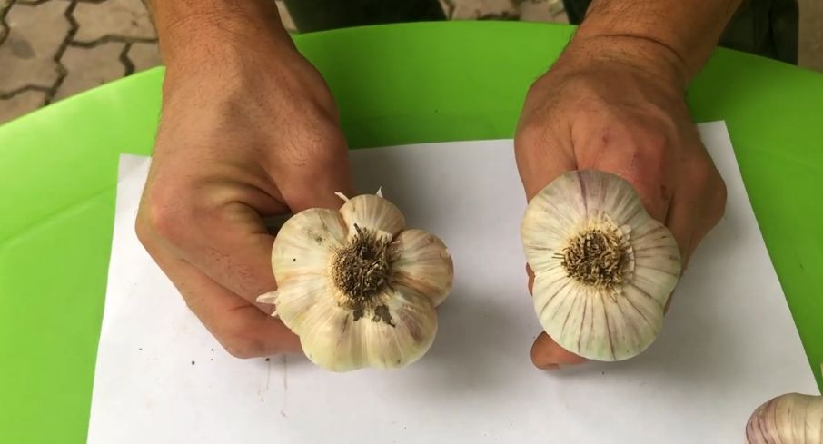 ��� ������ ��������� �������� ������ � ������� �������