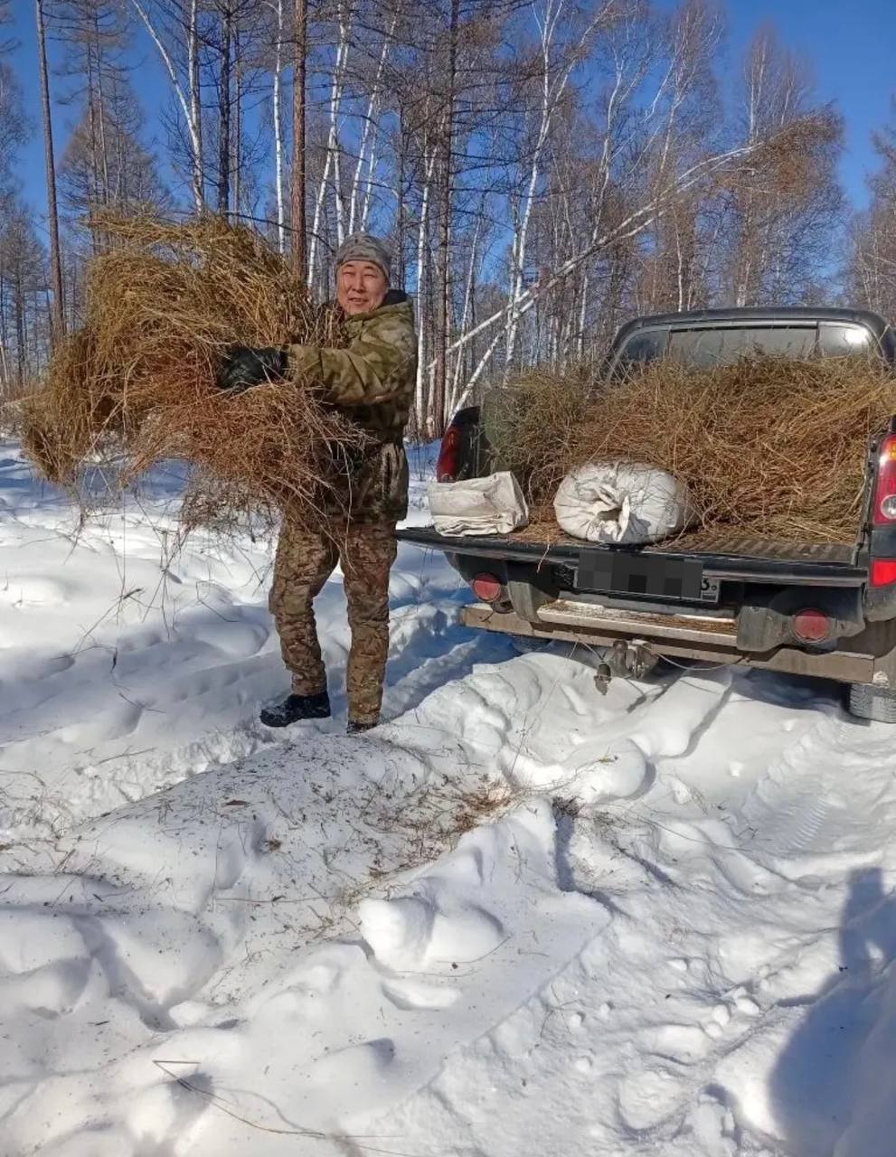 Обитателей тайги подкармливают в Бурятии Обитателей тайги подкармливают в Бурятии