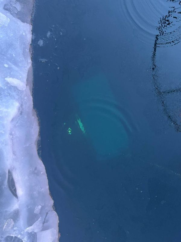 ���������� ���� ����� ��������� �������� � ��������� �� �������