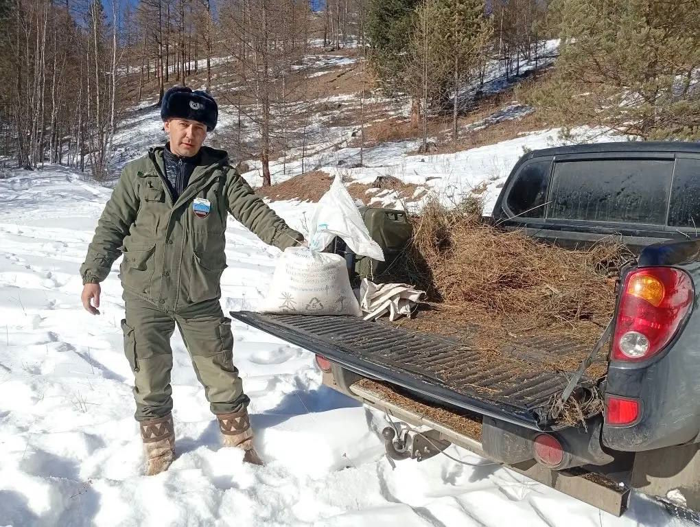 А вы знали, что в Бурятии подкармливают диких животных? А вы знали, что в Бурятии подкармливают диких животных?