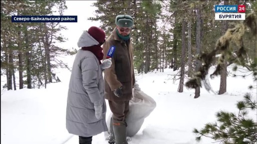 В Баргузинском заповеднике зафиксировали нетипичный случай: на базе "Давша" обнаружили следы косули