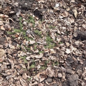 ��� ����������� ������ � �������������� � �����: ������ �� ����� � ������