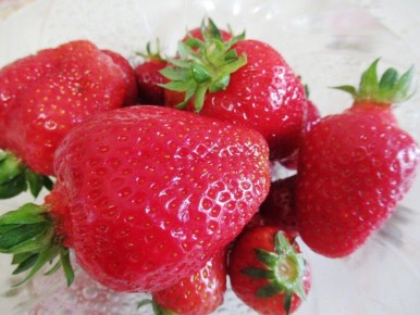 Как ухаживать за клубникой во время цветения и формирования плодов