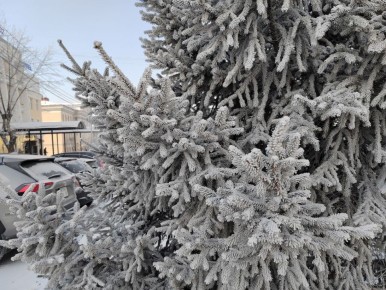 Налоговая взыскала 9 млрд с москвичей, не сумевших подтвердить источники доходов
