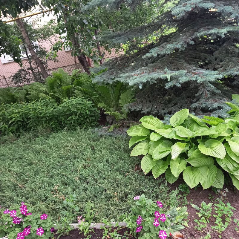 ��� ���������� ������: ����������� ������ ������ � ��������� ��������