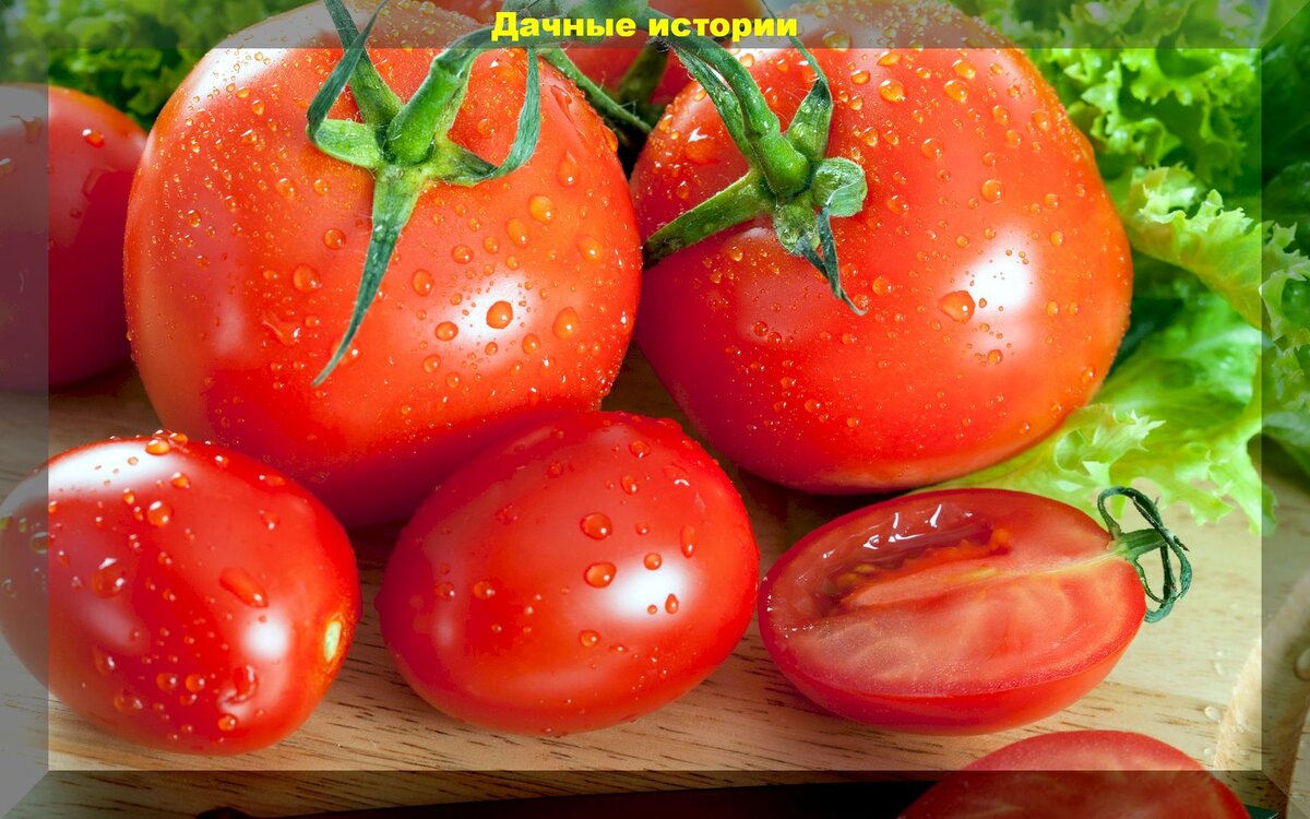 Помидоры под прицелом: правда или миф о вреде для здоровья?