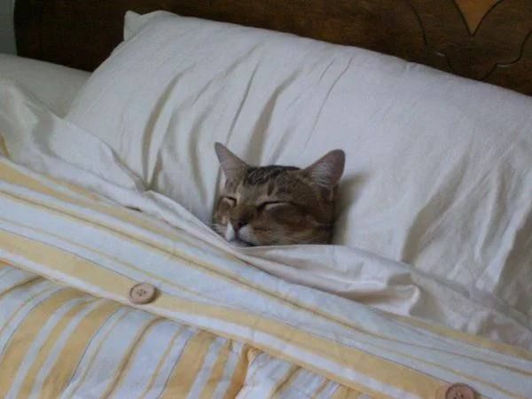 � ����������� � ������ �������������!