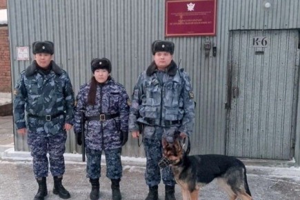 � ������� ������� ���������� ������� ������ ������������ �������