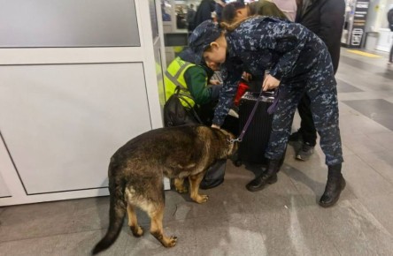 ��������� � ������� ���������� ��������� ������ � ��������� ��������