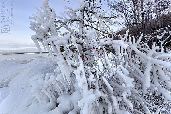 ������� � ���������� ����� ������� ���������������� �����