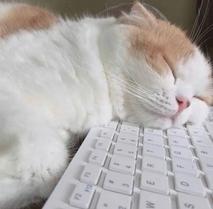 �������������. �� ���, ������ � ������ ����� ������������� ������� � �������?) �� ������ ���������� ��������������, 24 ������� �� ���������� ���������� ����������, ���� ������� ��������� ����