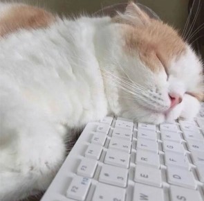 Доброутреннее. Ну что, готовы к будням после жонглирования блинами и буузами?) По данным Бурятского Гидрометцентра, 24 февраля по республике переменная облачность, днём местами небольшой снег