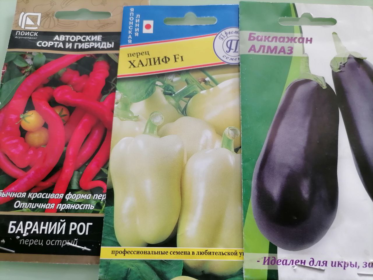 Пересортица семян: как избежать разочарований в саду