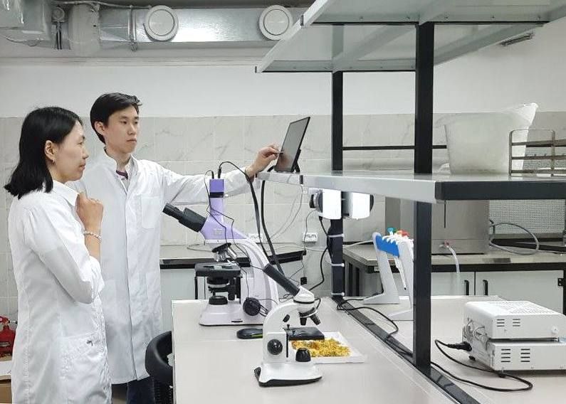 ����������� ������������� ���� ����� �������� ������������ �� ������������ ������������� ����������