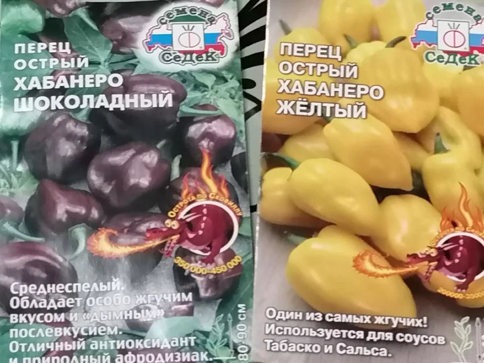 ��� �������� ������������ � �������� � ���������� ������ �� ����