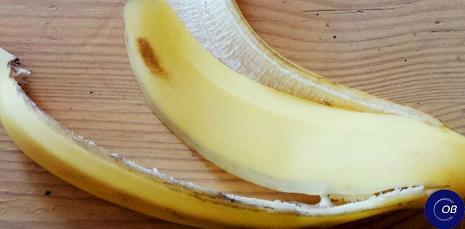 ��� ��������� ������ ����� ����� ���������� � ����� �� ����������