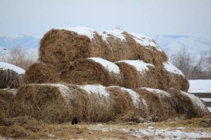 � ������� ����� �������� �� ��������� ������ ��� �����