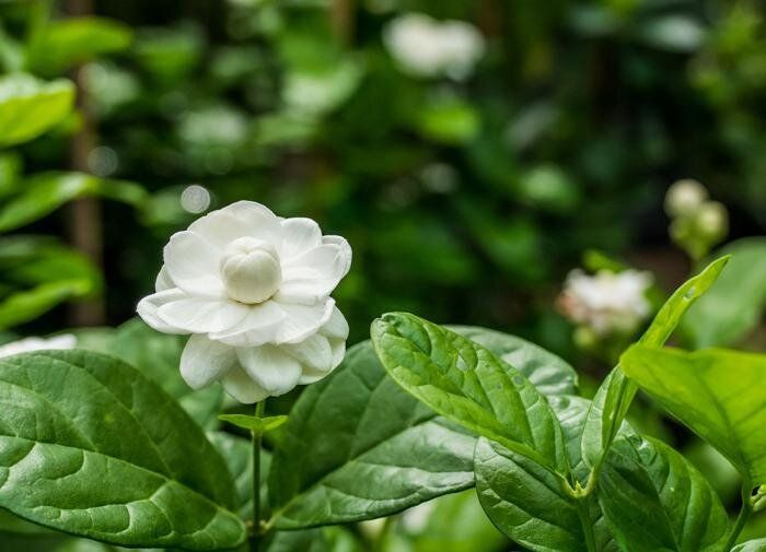 ������: ������� ��� �������� ������� � ����