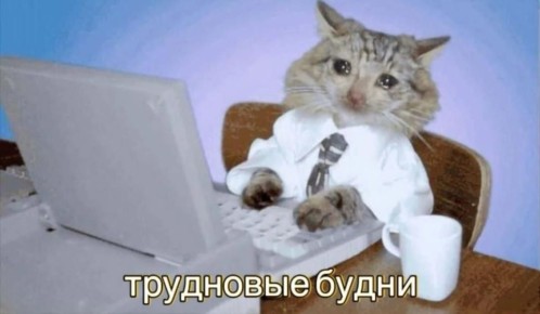 ������ ����! ����� ��� ��� ��������� ���������?)