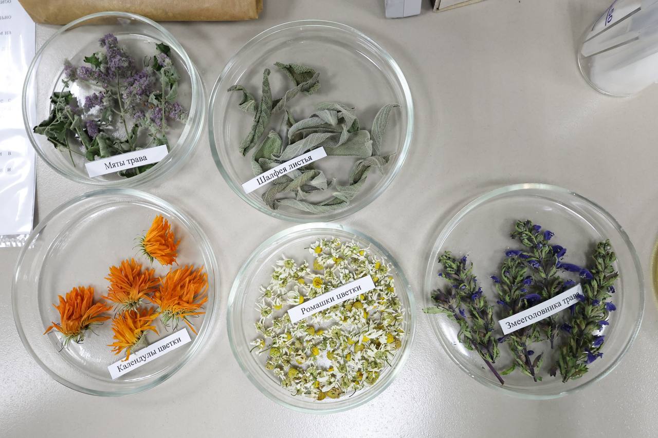 Лаборатория лекарственных трав БГСХА получила аккредитацию на соответствие международным стандартам Лаборатория лекарственных трав БГСХА получила аккредитацию на соответствие международным стандартам