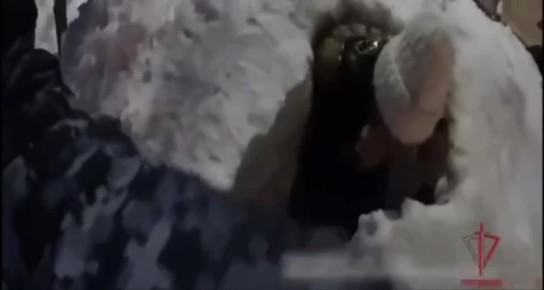 10-������ ������� �������� � �������� ������� � ����� �� ������ � ������