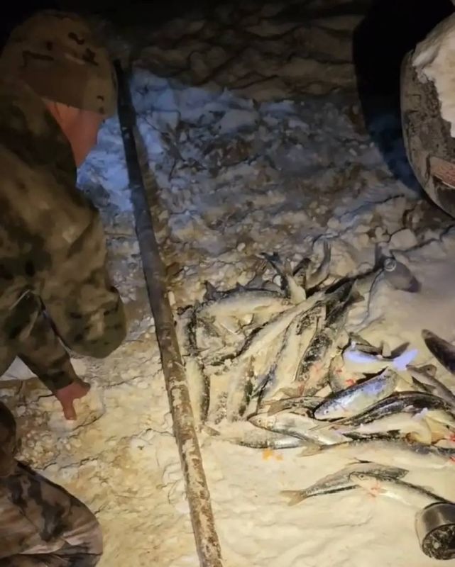 � ������� ����� ����� ���������� ���������� �� ���������� ����� ����� �� 600 ����� ������