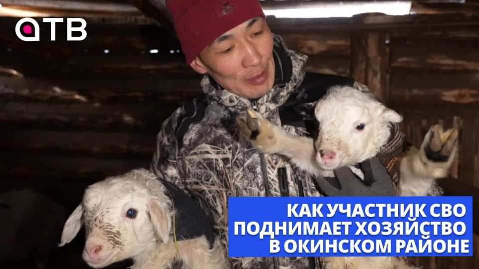 �����. �������. ����������� ����