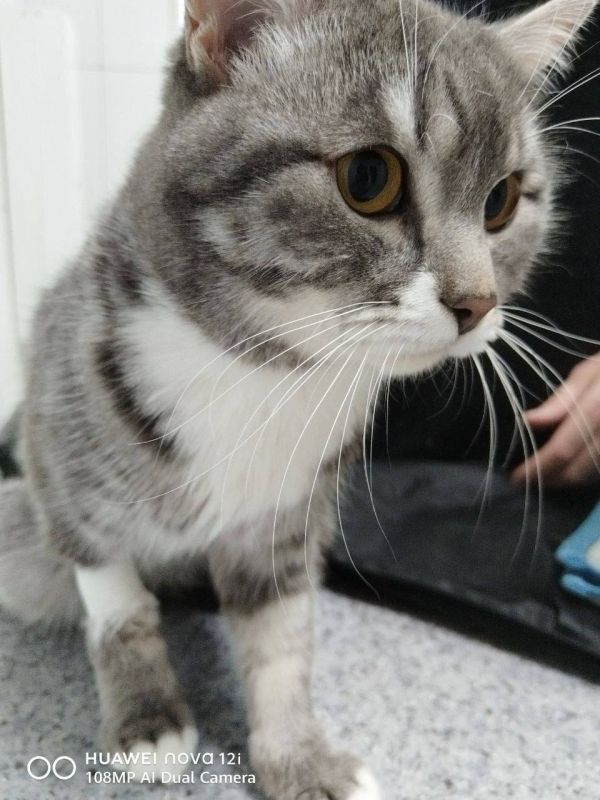 � ��������� ������� ����������� �������� ���������� ���� � �������