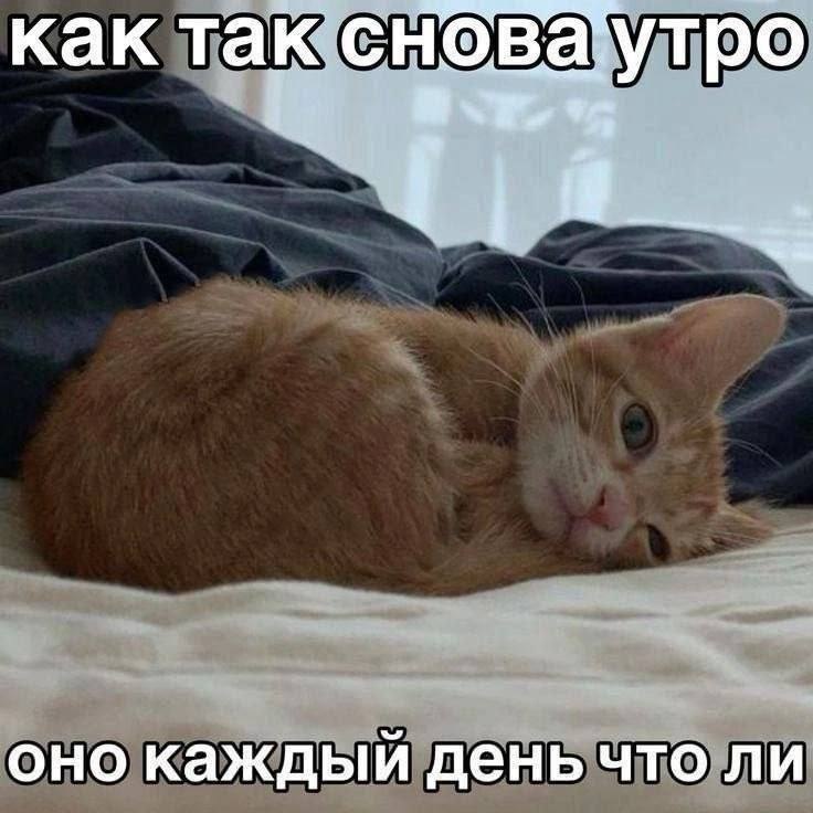 С добрым утром! Желаем продуктивного четверга)