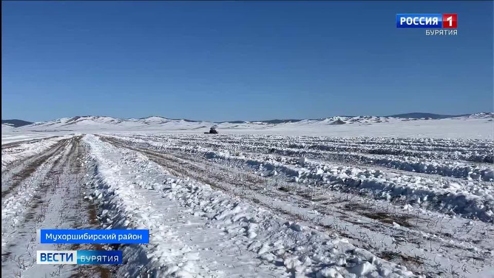 ������� ���� � ����������� ������ ������ ��������� �������� ������� � ��������� �������