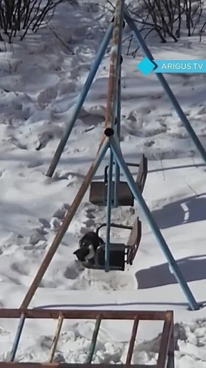 ������� ����, ������ ����, � ����������� - ���