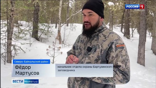 В Баргузинском заповеднике продолжается зимний учёт животных и птиц