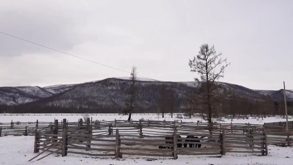 � ������� ������� ��� �������� ����� �������