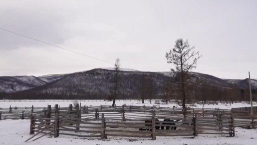 � ������� ������� ��� �������� ����� �������