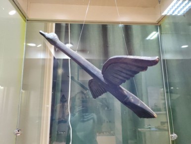 ���� ������������ ������� ��������� � ��� ����