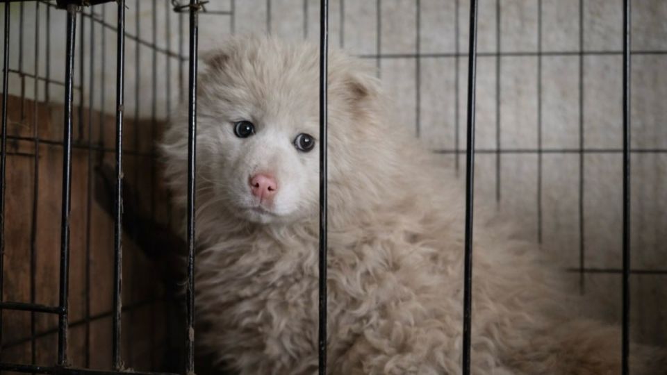 �������� � ��� ������ ������ � ����-���