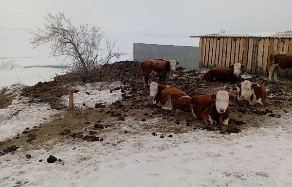 � ������ ������� ����� ������ ������� ������ � �������� ������