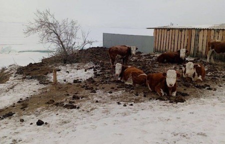 � ������ ������� ����� ������ ������� ������ � �������� ������