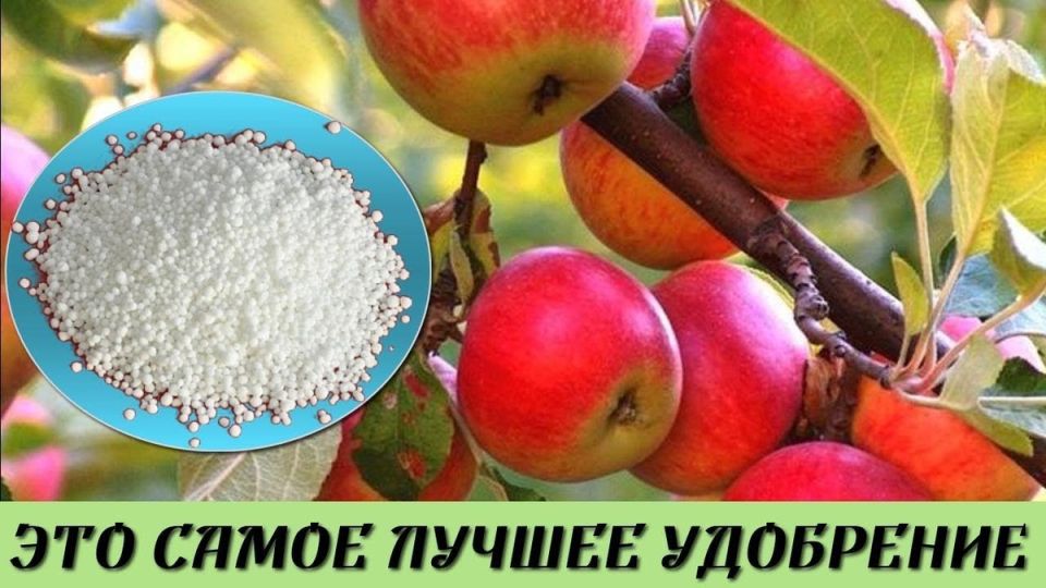 ��� �������� ������� ����� � ���������� ����������: �� ����� �� �����