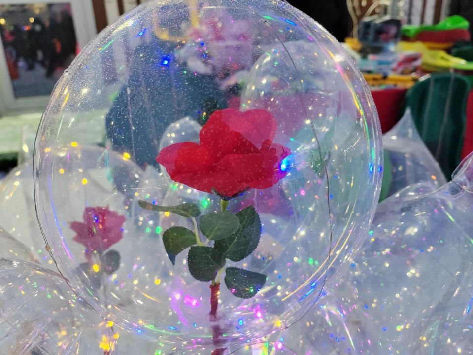 ����� ������� ������� �������� ����� � ���������� ���������