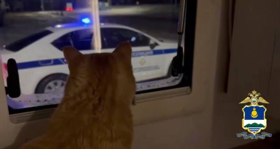 �������� ��� ����� �� ������� ������� ������ �����������