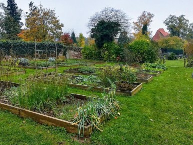 Как вернуть земле жизнь после сбора картофеля