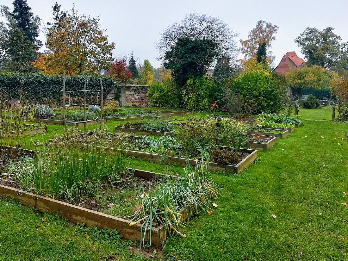 Как вернуть земле жизнь после сбора картофеля