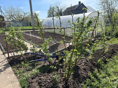 ��� ������� �������� ����� ��� ���������: ��������� ������������ ����������