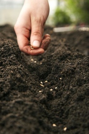 ����� �� ���������� ������ ������� �����������?