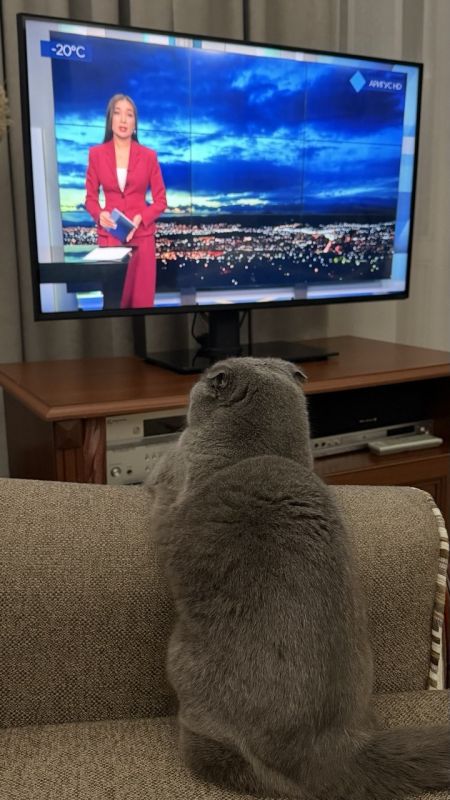 ����� �� �������, �� ������� � �� ��������� � 14:00 � � 19:30 ������ ����!�