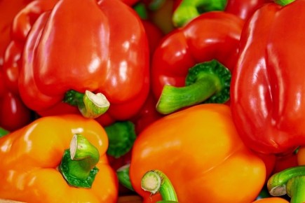 ������� ����� � �������� ����� ����� ��� ��������� �����������