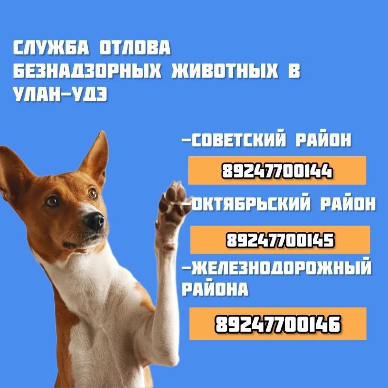 ����������� ���� �� ������� ���