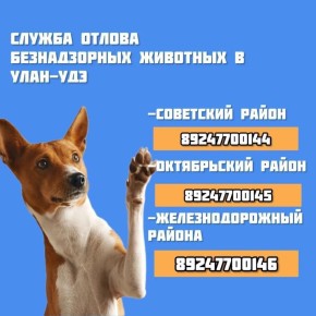 ����������� ���� �� ������� ���