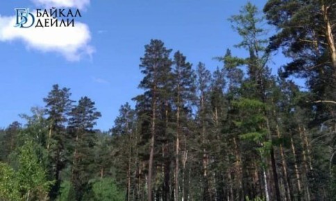 � ������� ������� ������� ������� � ����������� ������ �������